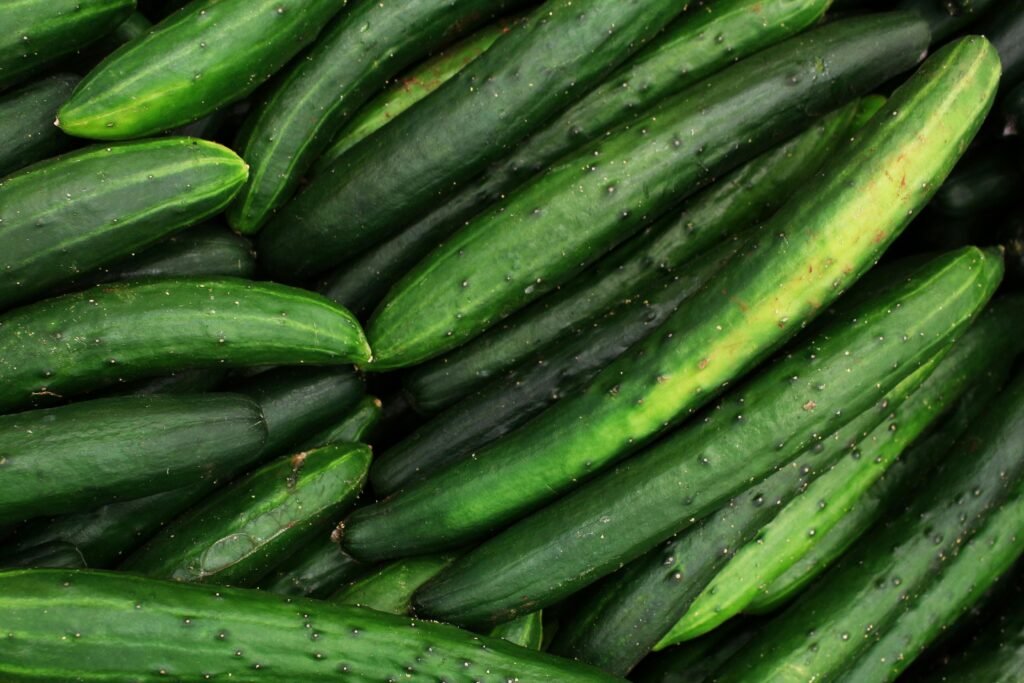 Loads of cucumbers