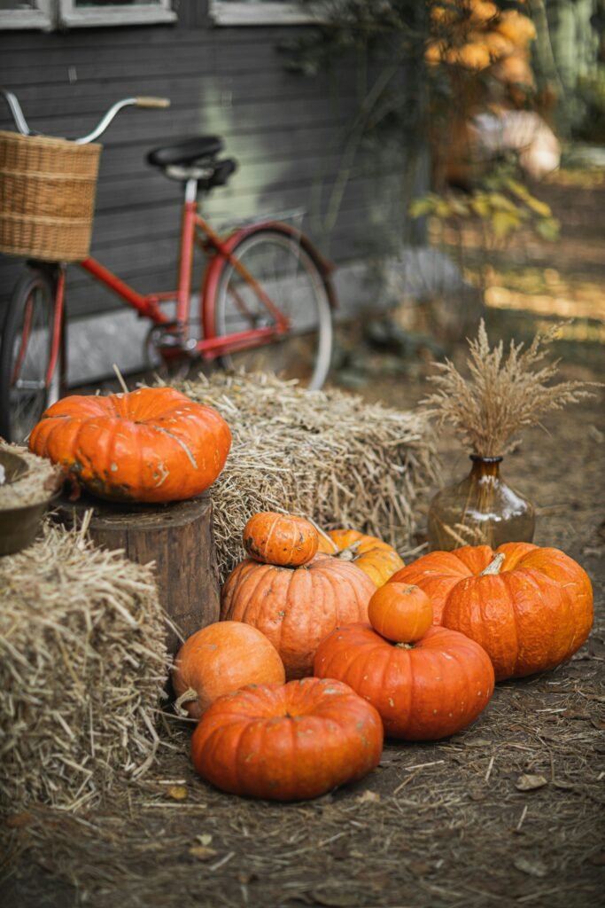 Viral Fall Aesthetic Decor 