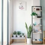 Cozy Living Room Ideas