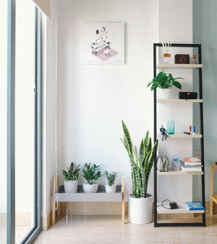 Cozy Living Room Ideas