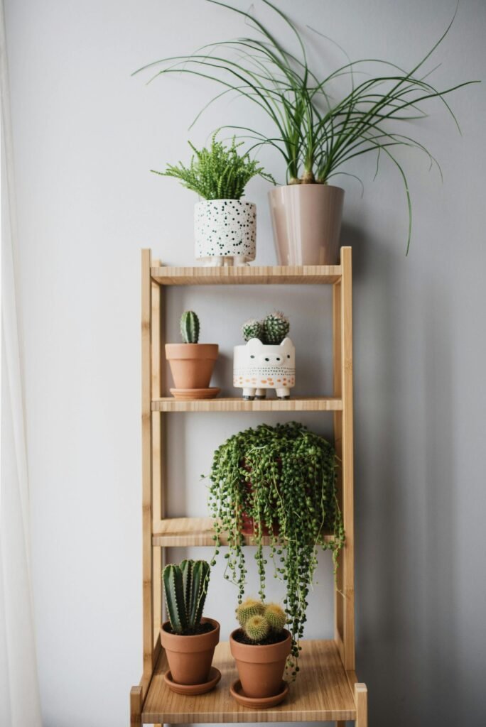 Eco-Friendly Home Decor Trends