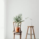budget friendly home decor