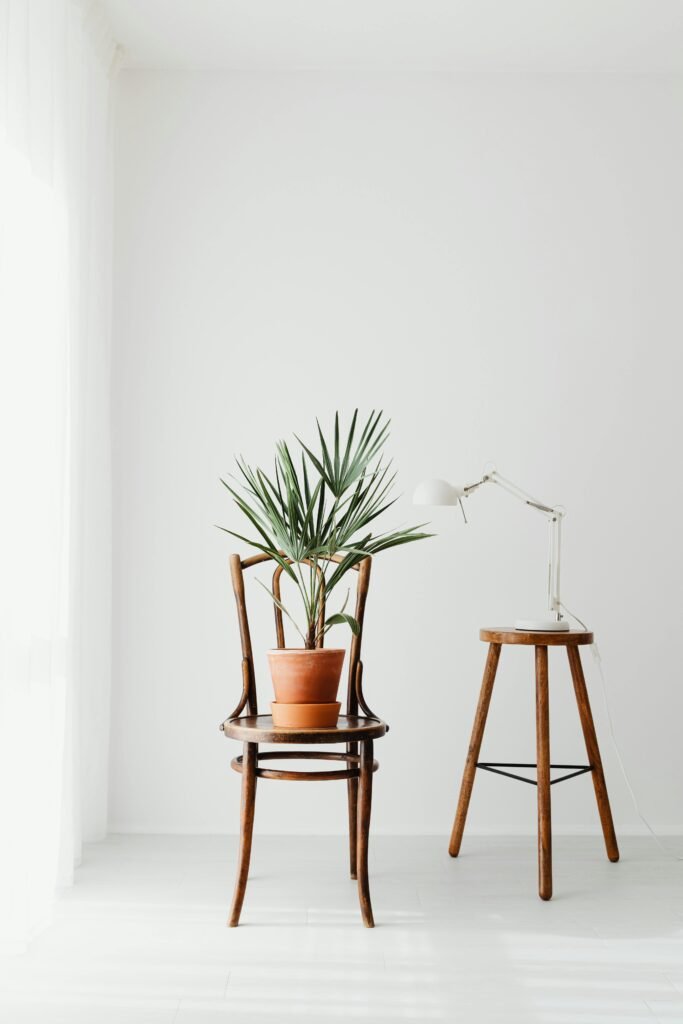 budget friendly home decor
